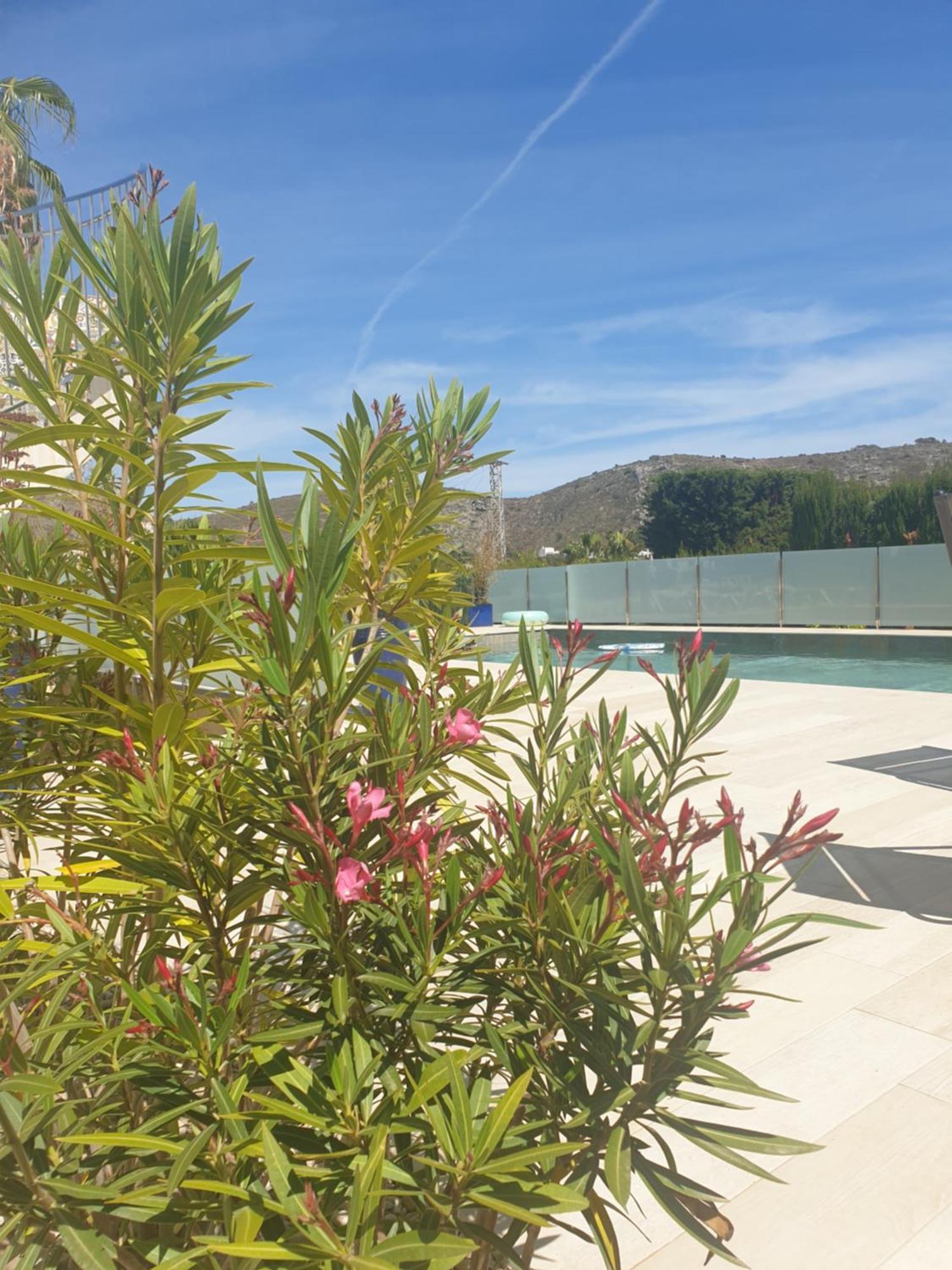 Casa Osimos Portet 450 M Морайра Экстерьер фото